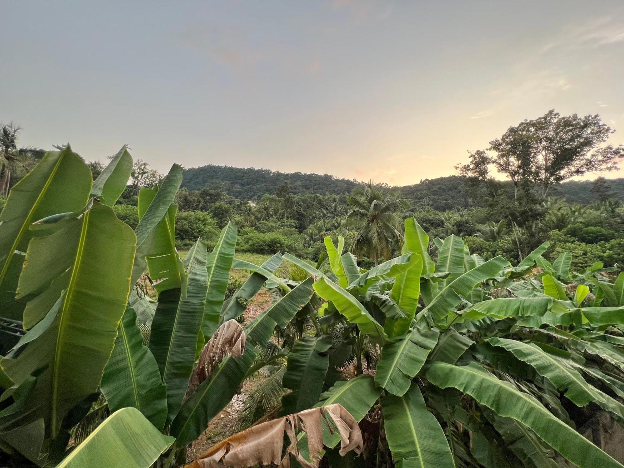 Bungalow Sang Tuoi Mountains دونغ دونغ المظهر الخارجي الصورة